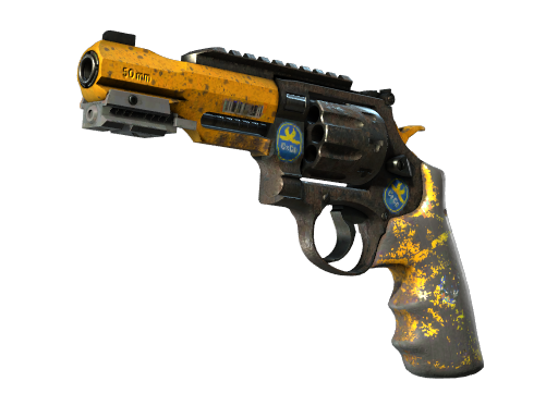 Skin Image