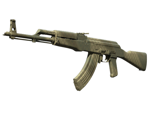 Skin Image