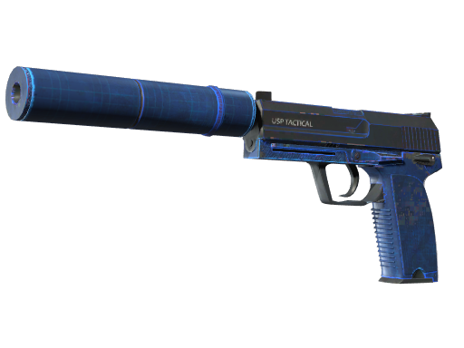 Skin Image