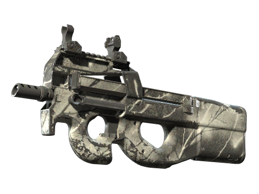 Skin Image