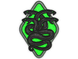 Skin Image
