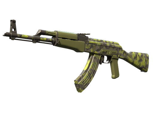 Skin Image