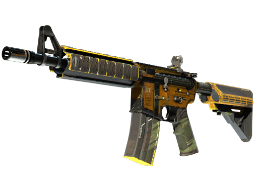 Skin Image