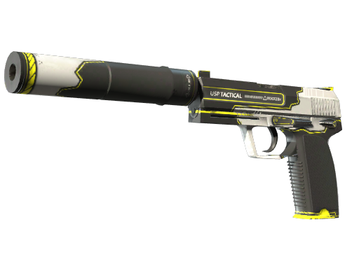 Skin Image