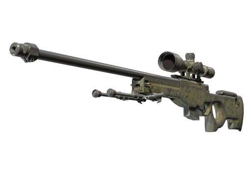 Skin Image