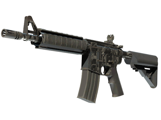 Skin Image