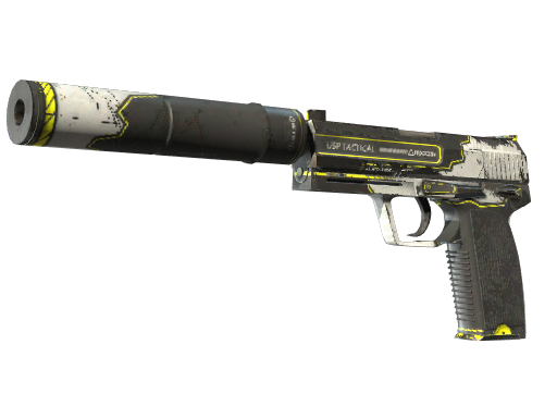 Skin Image