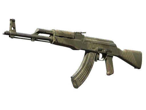 Skin Image