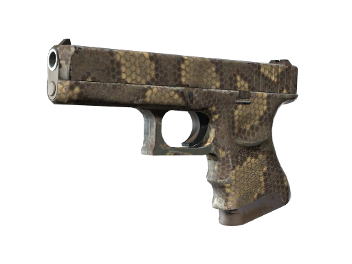 Skin Image