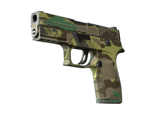 Skin Image