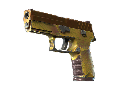 Skin Image